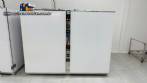 Horno deshidratador de acero inoxidable con 120 bandejas