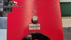 M�quina de envasado flow pack invertida DXDZ-250X