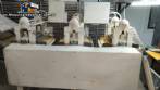 L�nea continua autom�tica para la producci�n y deshidrataci�n de pasta fresca casera.