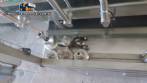 Lnea para mquina de llenado de aerosol Cosmar Omas
