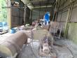 Empresa industrial con una l�nea de producci�n para el reciclaje y la fabricaci�n de pl�sticos LDPE, con una capacidad de 50 toneladas mensuales.