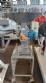 Procesador triturador AGMAC 100 kg/h