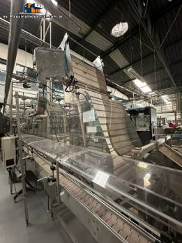 L�nea de llenado de tornillo con pist�n rotativo Ronchi 316