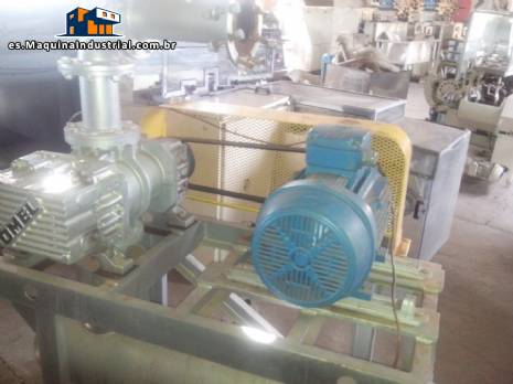 Transportador de polvo neum�tico