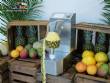 Peladora autom�tica para pi�a, mango y mel�n, 250 unidades por minuto Astra
