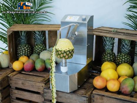 Peladora autom�tica para pi�a, mango y mel�n, 250 unidades por minuto Astra