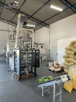 L�nea para la producci�n de snacks Inbramaq 230 kg