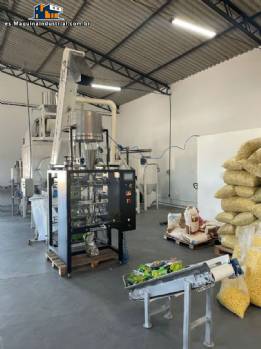 Lnea para la produccin de snacks Inbramaq 230 kg