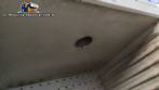 Horno para secar polvos y gr�nulos de Fabbe