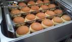 Freidora de acero inoxidable para rosquillas dulces y sue�os MCI 60 kg/hora